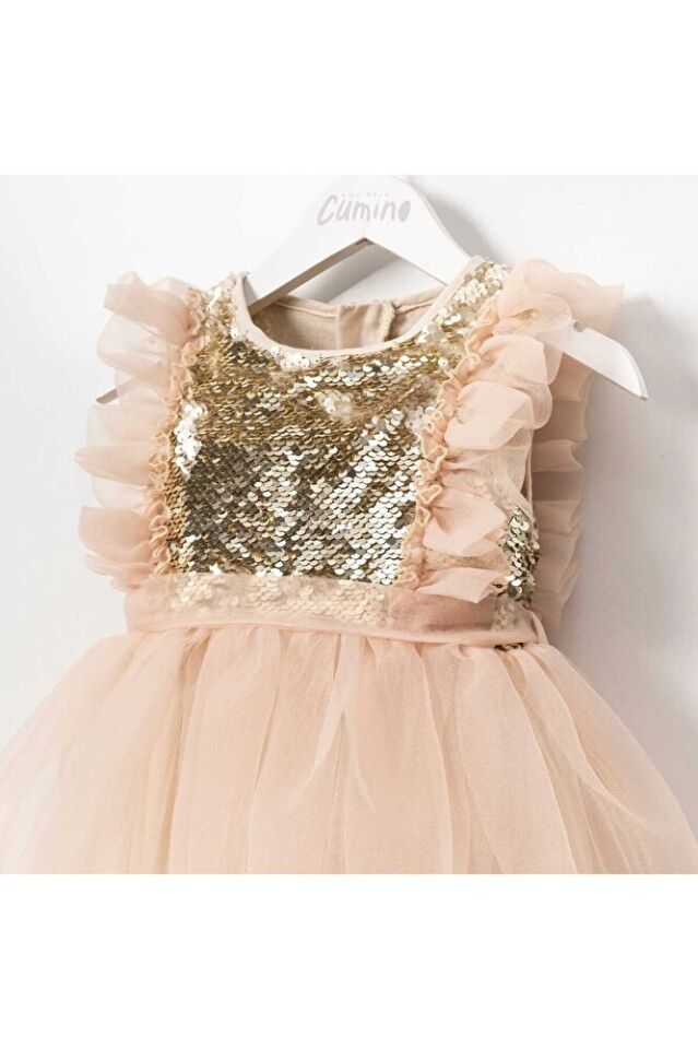 Dream Kız Çocuk Payetli Pembe Şifon Elbise